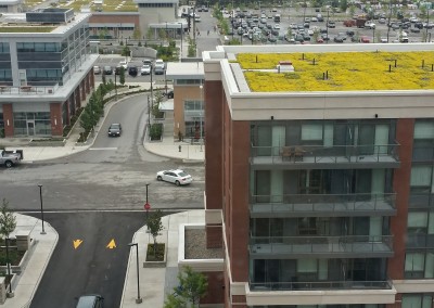 20140707_114731_Richtone(HDR)